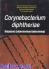 Corynebacterium Diphtheriae: Diagnosis Laboratorium Bakteriologi